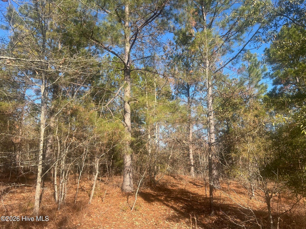 Photo of 0 Golden Eagle Lane, Hephzibah, GA 30815 (MLS # 100605094)