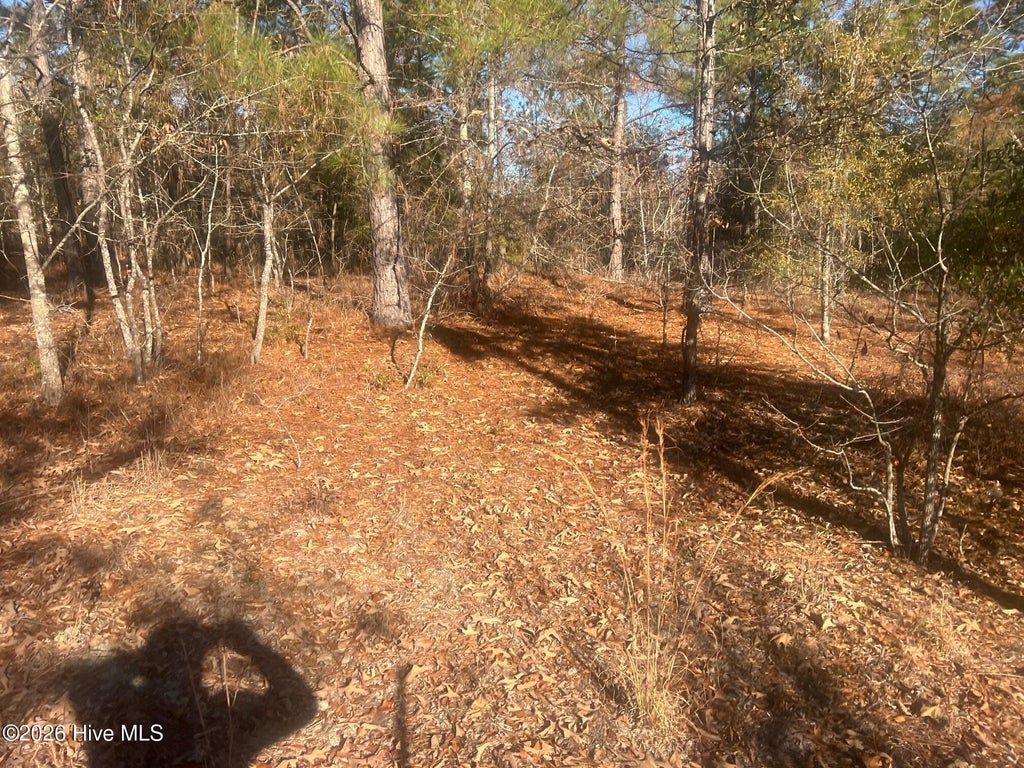 Photo of 0 Golden Eagle Lane, Hephzibah, GA 30815 (MLS # 100605094)