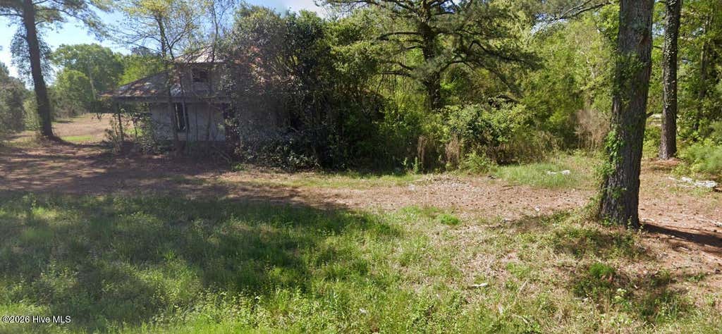 Photo of 2444 New Hope Road, La Grange, NC 28551 (MLS # 100593566)
