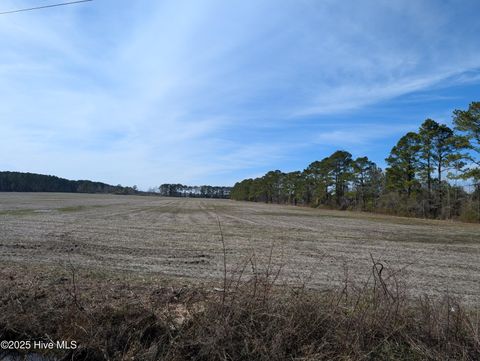 Vacant Land For Sale - 522 Plum Nearly Lane<br/> Jones County, Trenton, NC 28585