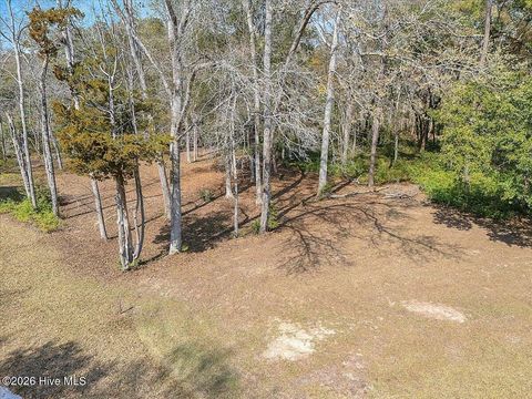 Tiny photo for 2021 Healing Water Lane SW, Supply, NC 28462 (MLS # 100560630)