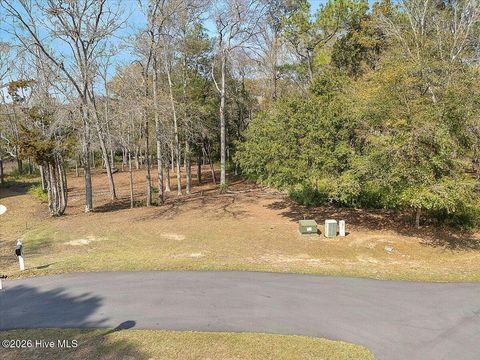Tiny photo for 2021 Healing Water Lane SW, Supply, NC 28462 (MLS # 100560630)