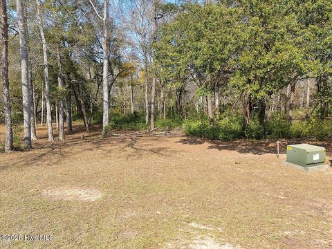 Tiny photo for 2021 Healing Water Lane SW, Supply, NC 28462 (MLS # 100560630)