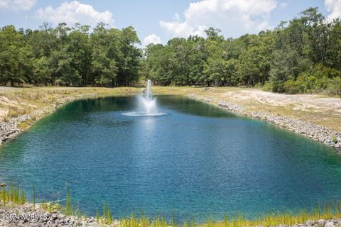 Tiny photo for 2021 Healing Water Lane SW, Supply, NC 28462 (MLS # 100560630)