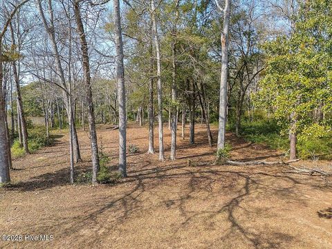 Tiny photo for 2021 Healing Water Lane SW, Supply, NC 28462 (MLS # 100560630)
