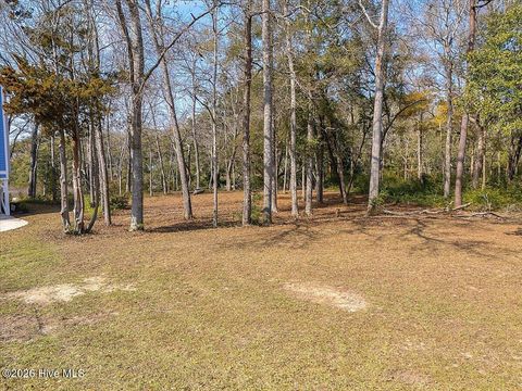 Photo of 2021 Healing Water Lane SW, Supply, NC 28462 (MLS # 100560630)