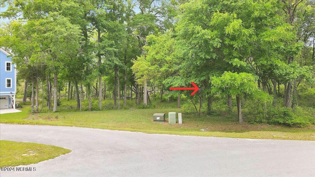 Photo of 2021 Healing Water Lane SW, Supply, NC 28462 (MLS # 100560630)