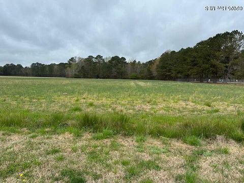 Vacant Land For Sale - 235 Hwy 32<br/> Gates County, Sunbury, NC 27979