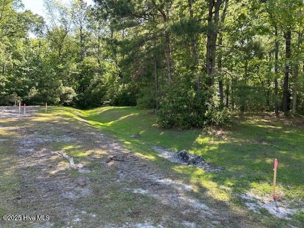 Photo of 1400 Pindo Court SE, Bolivia, NC 28422 (MLS # 100505667)
