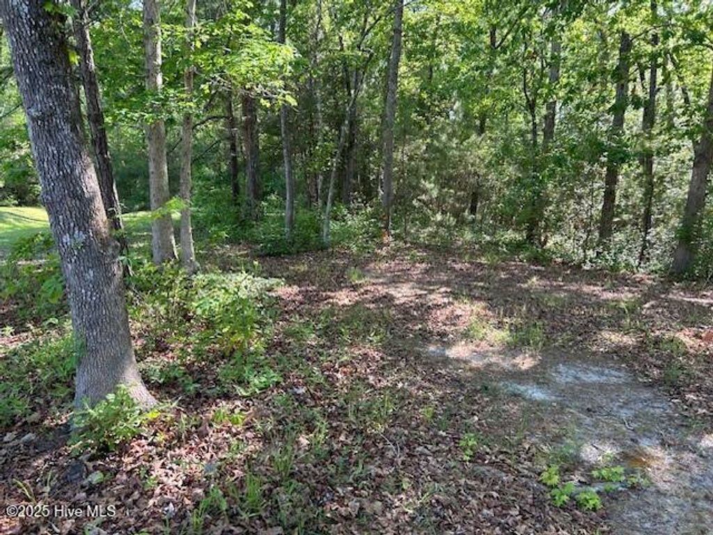 Photo of 1400 Pindo Court SE, Bolivia, NC 28422 (MLS # 100505667)