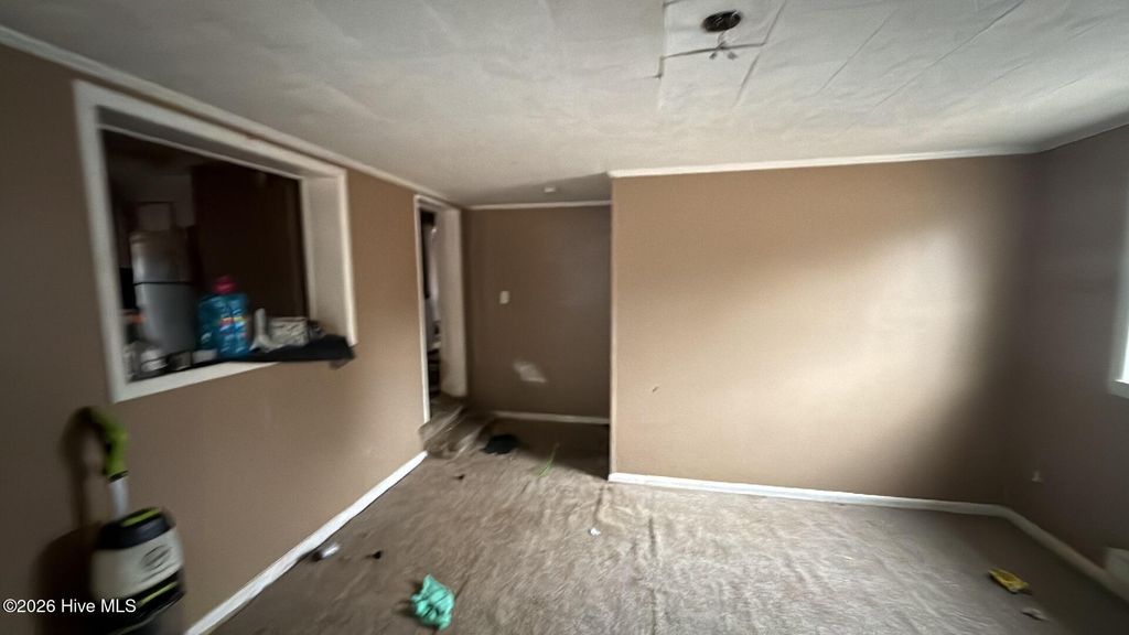 Photo of 484 Yellow Skin Road, Autryville, NC 28318 (MLS # 100561231)