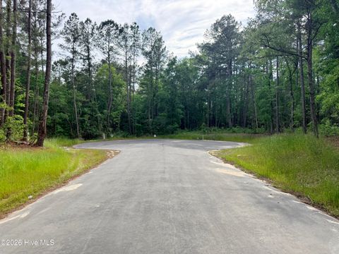 Tiny photo for 4 Peach Court, Burgaw, NC 28425 (MLS # 100568969)