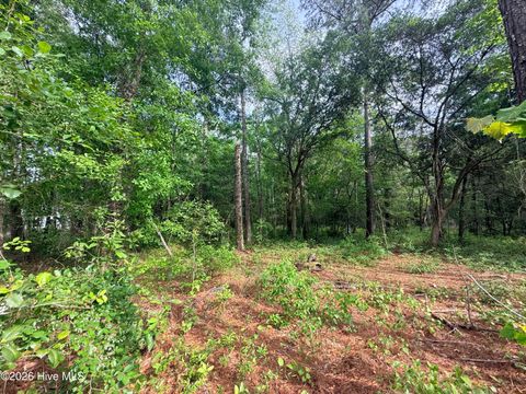 Tiny photo for 4 Peach Court, Burgaw, NC 28425 (MLS # 100568969)