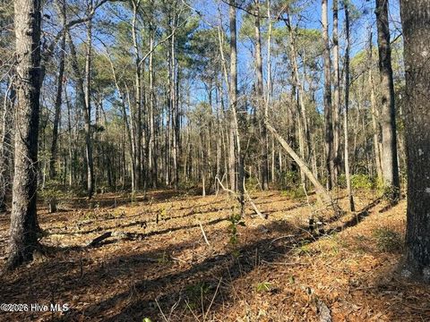 Tiny photo for 4 Peach Court, Burgaw, NC 28425 (MLS # 100568969)