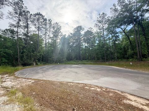 Tiny photo for 4 Peach Court, Burgaw, NC 28425 (MLS # 100568969)