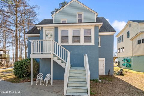 Photo of 226 Shady Banks Beach Road, Washington, NC 27889 (MLS # 100556718)