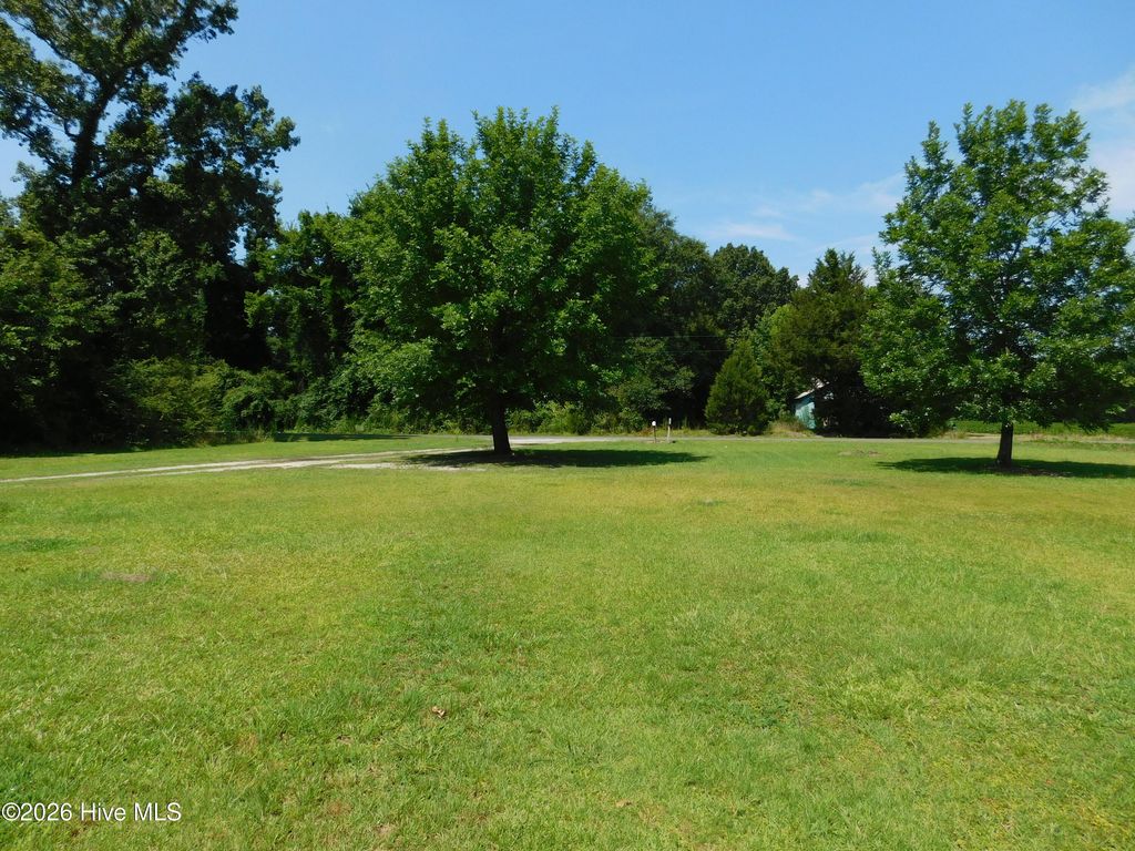 Photo of 112 Prentiss Riggs Road, Cove City, NC 28523 (MLS # 100548237)