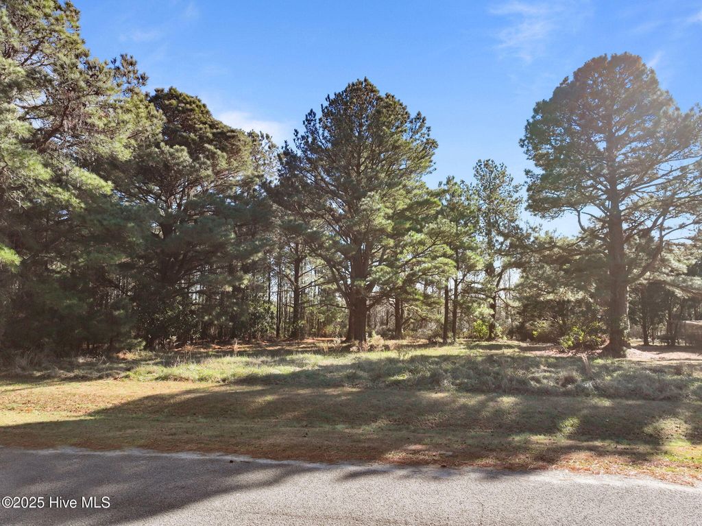 Photo of 377 Country Estates, Columbia, NC 27925 (MLS # 100546547)
