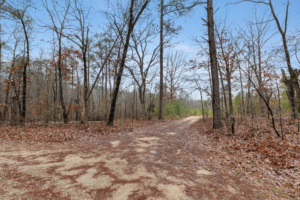 Photo of 610 Forest Service, Clarks Hill, SC 29821 (MLS # 551893)