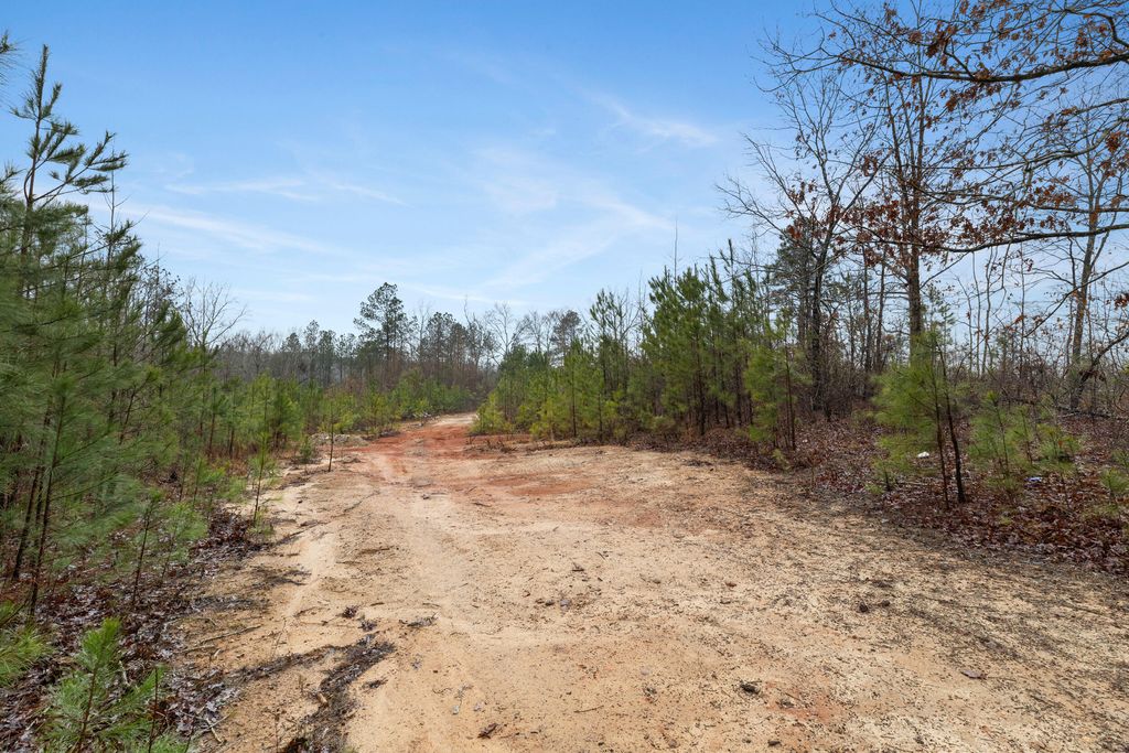 Photo of 610 Forest Service, Clarks Hill, SC 29821 (MLS # 551893)