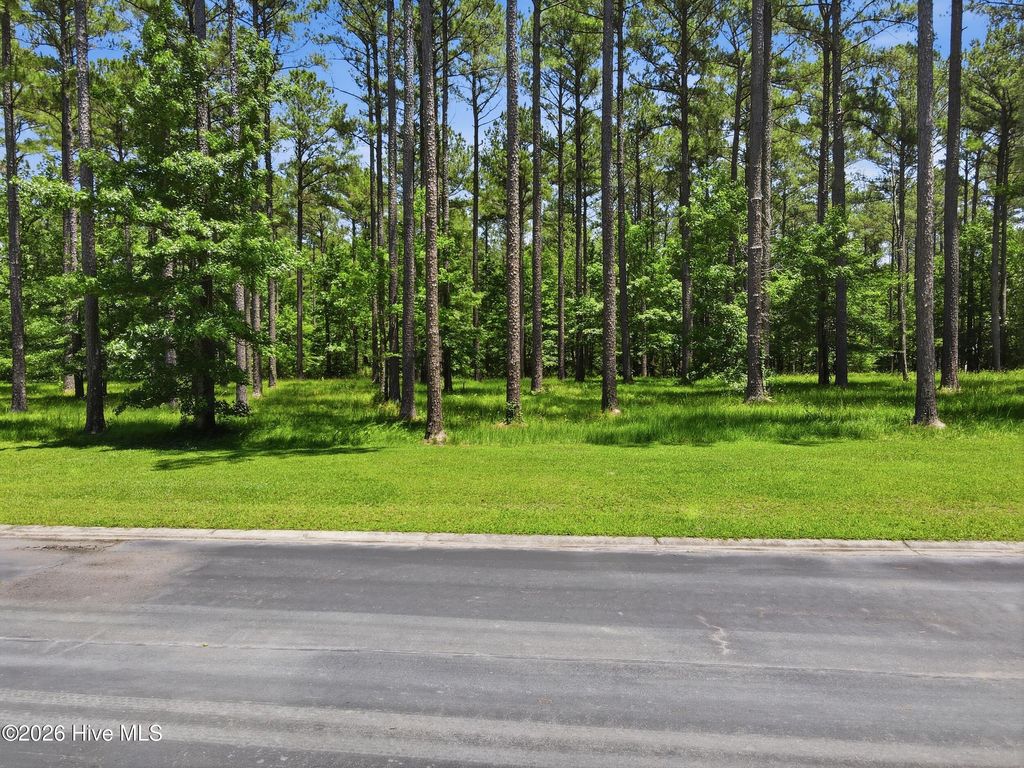 Photo of 130 Ocracoke Drive, Oriental, NC 28571 (MLS # 100579310)
