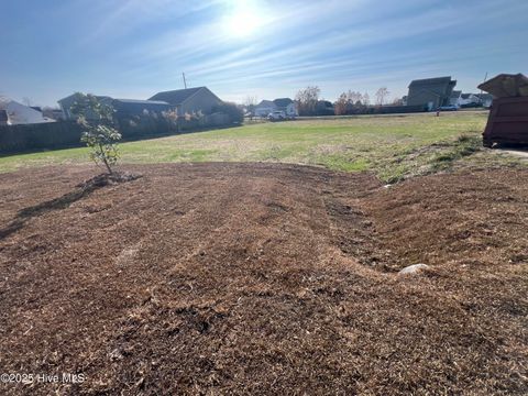 Tiny photo for 250 Deer Haven Drive, Richlands, NC 28574 (MLS # 100544968)