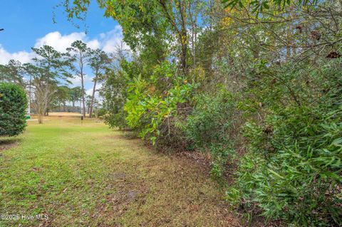 Tiny photo for 129 Coots Trail, Hampstead, NC 28443 (MLS # 100542764)