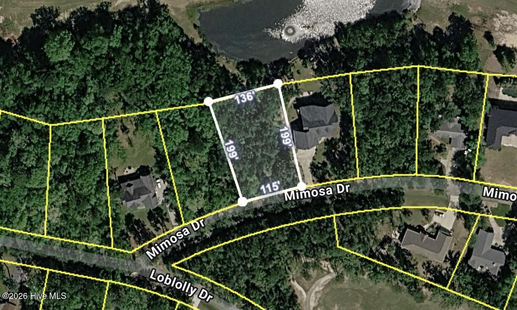 Photo of 713 Mimosa Drive, Vass, NC 28394 (MLS # 100572715)