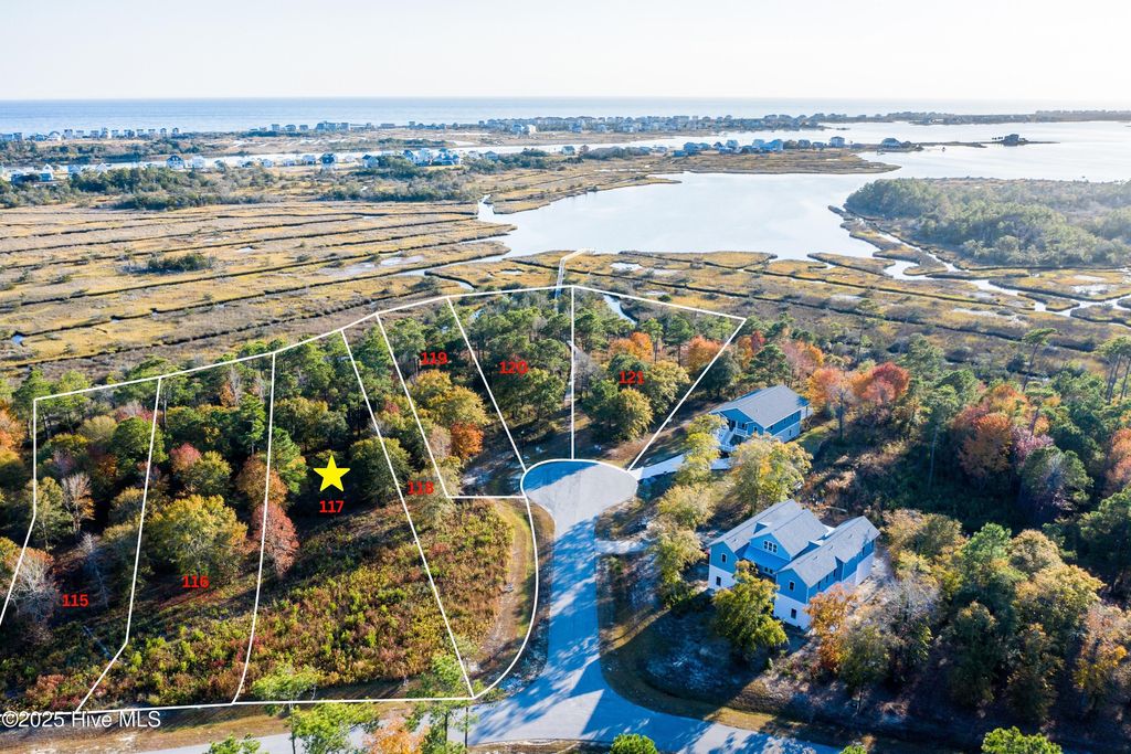 Photo of 339 Landon Lane, Sneads Ferry, NC 28460 (MLS # 100523765)