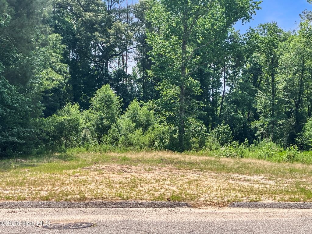 Photo of 2818 Harwood Drive, Hephzibah, GA 30815 (MLS # 100576447)