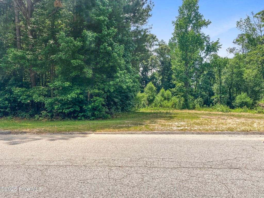 Photo of 2818 Harwood Drive, Hephzibah, GA 30815 (MLS # 100576447)