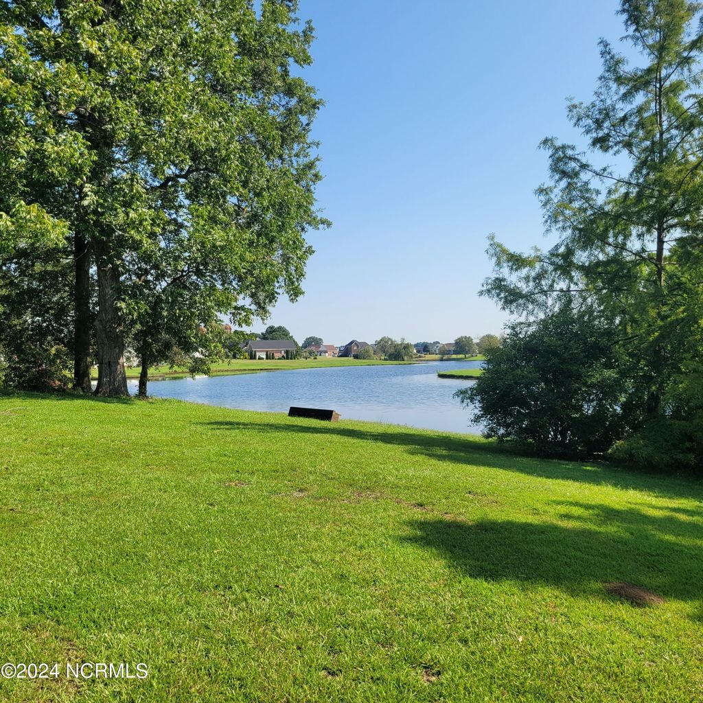 Photo of 97 Planters Walk Lane, Clinton, NC 28328 (MLS # 100549525)