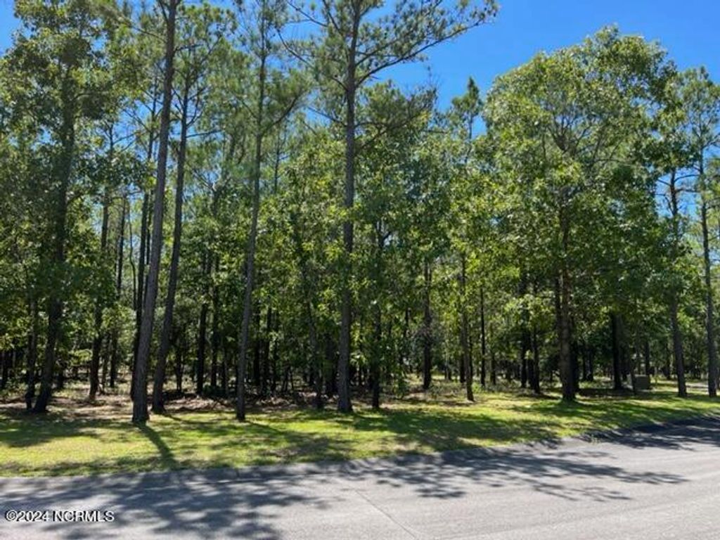 Photo of 2907 Aranda Grove SE, Bolivia, NC 28422 (MLS # 100458901)