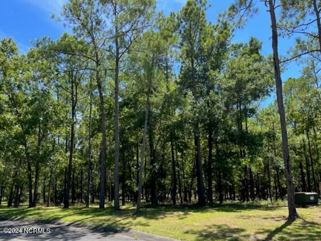 Photo of 2907 Aranda Grove SE, Bolivia, NC 28422 (MLS # 100458901)