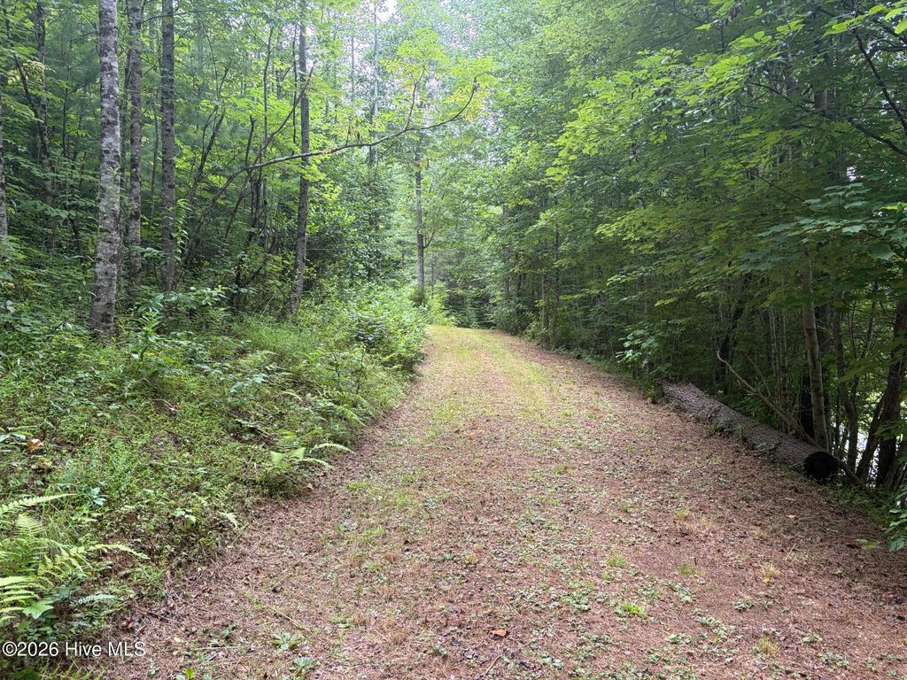 Photo of 0 Down Springs Drive, Murphy, NC 28906 (MLS # 100590922)