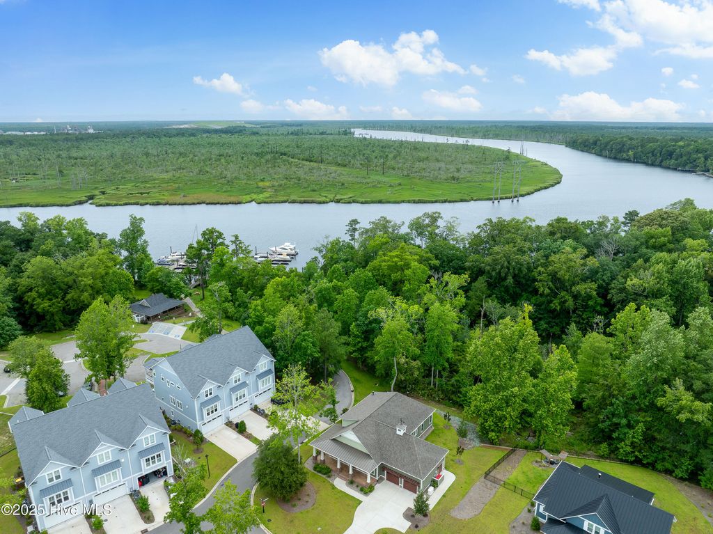 Photo of 243 Sabal Pond Way, Castle Hayne, NC 28429 (MLS # 100547511)