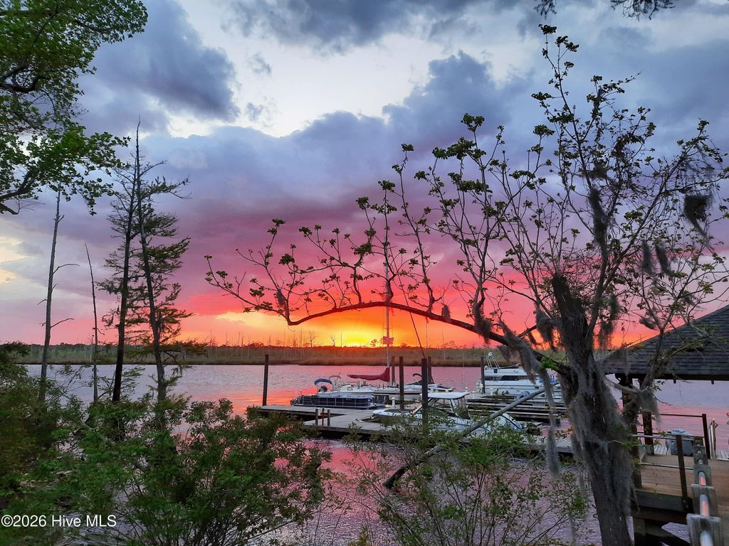 Photo of 243 Sabal Pond Way, Castle Hayne, NC 28429 (MLS # 100547511)