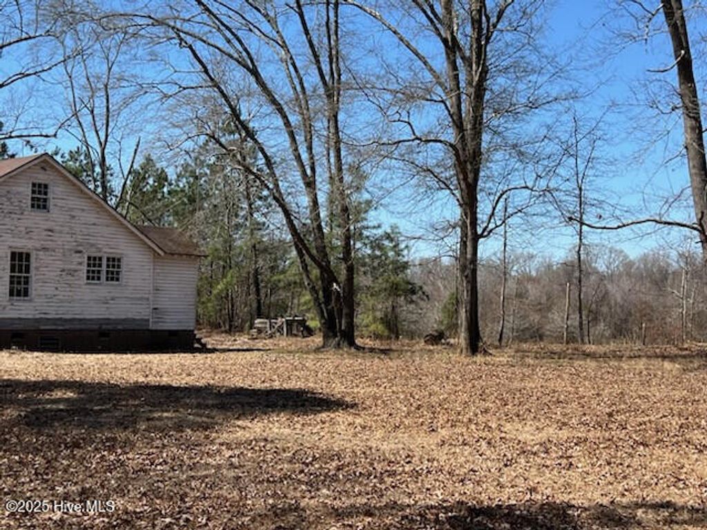 Photo of 1064 Stevens Mill Road, Goldsboro, NC 27530 (MLS # 100502121)