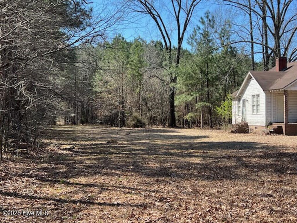 Photo of 1064 Stevens Mill Road, Goldsboro, NC 27530 (MLS # 100502121)
