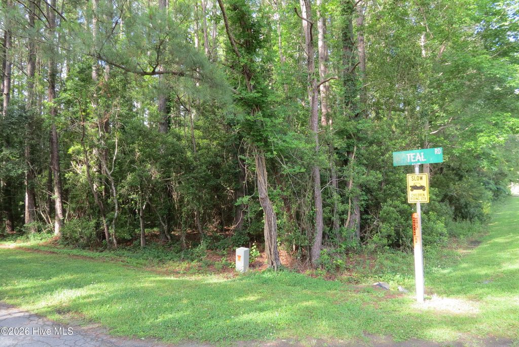 Photo of 20 Teal Road, Merritt, NC 28556 (MLS # 100576684)