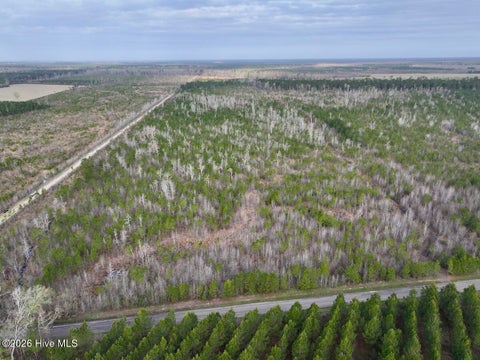 Vacant Land For Sale - Guinea Mill Road<br/> Ernul, NC 28527