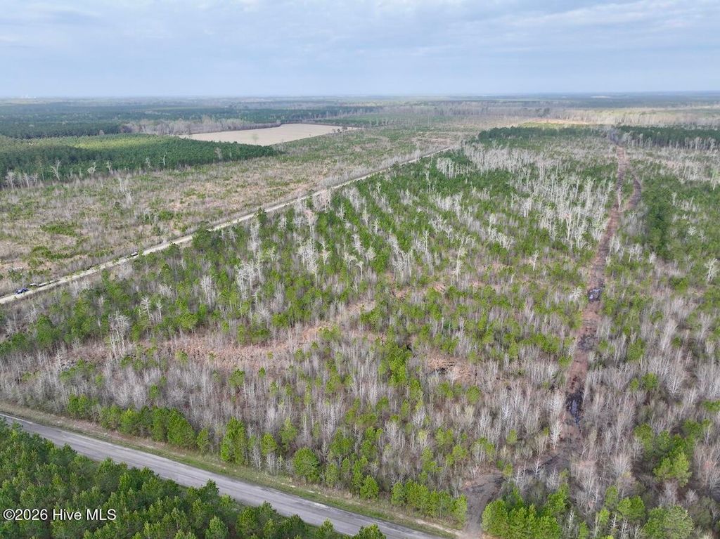 Photo of 0 Guinea Mill Road, Ernul, NC 28527 (MLS # 100566471)