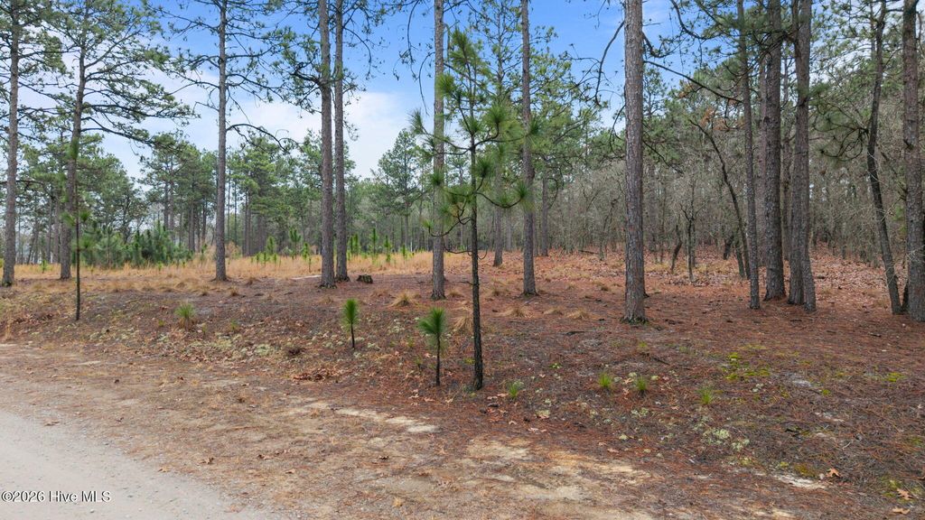Photo of Tbd Forest Ridge Lane, Jackson Springs, NC 27281 (MLS # 100490685)