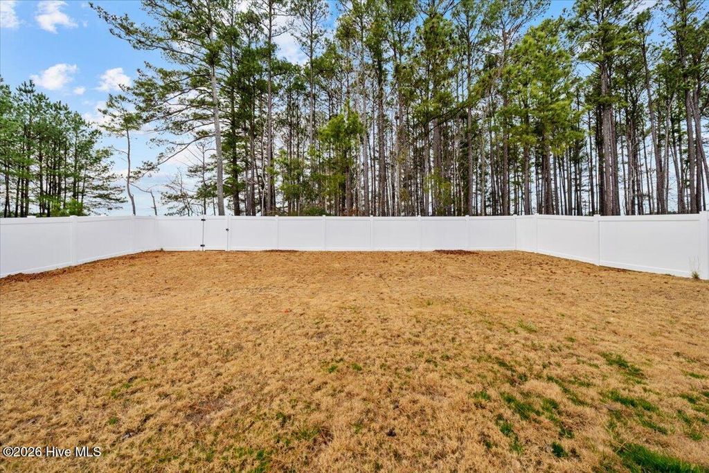 Photo of 917 Ocean Court, Carthage, NC 28327 (MLS # 100551651)