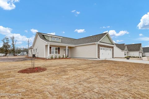 Homes For Sale - 87 Talbert Drive<br/> Rocky Point, NC 28457