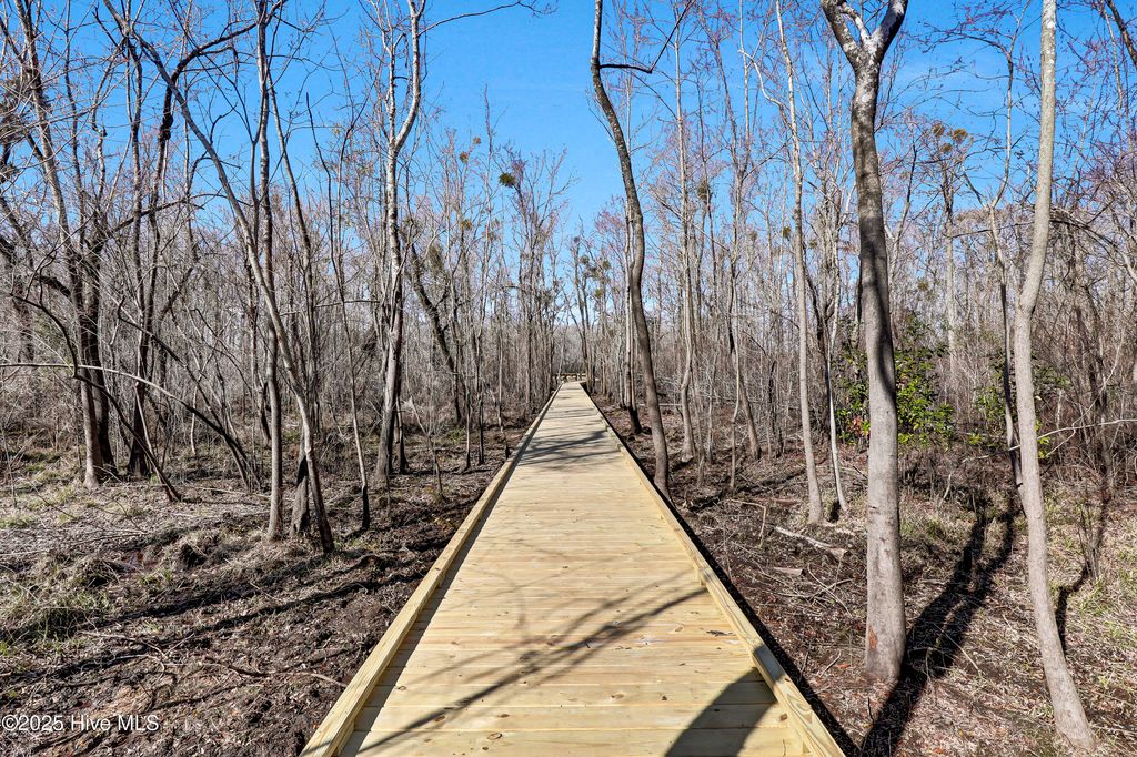 Photo of 151 Talbert Drive, Rocky Point, NC 28457 (MLS # 100534930)