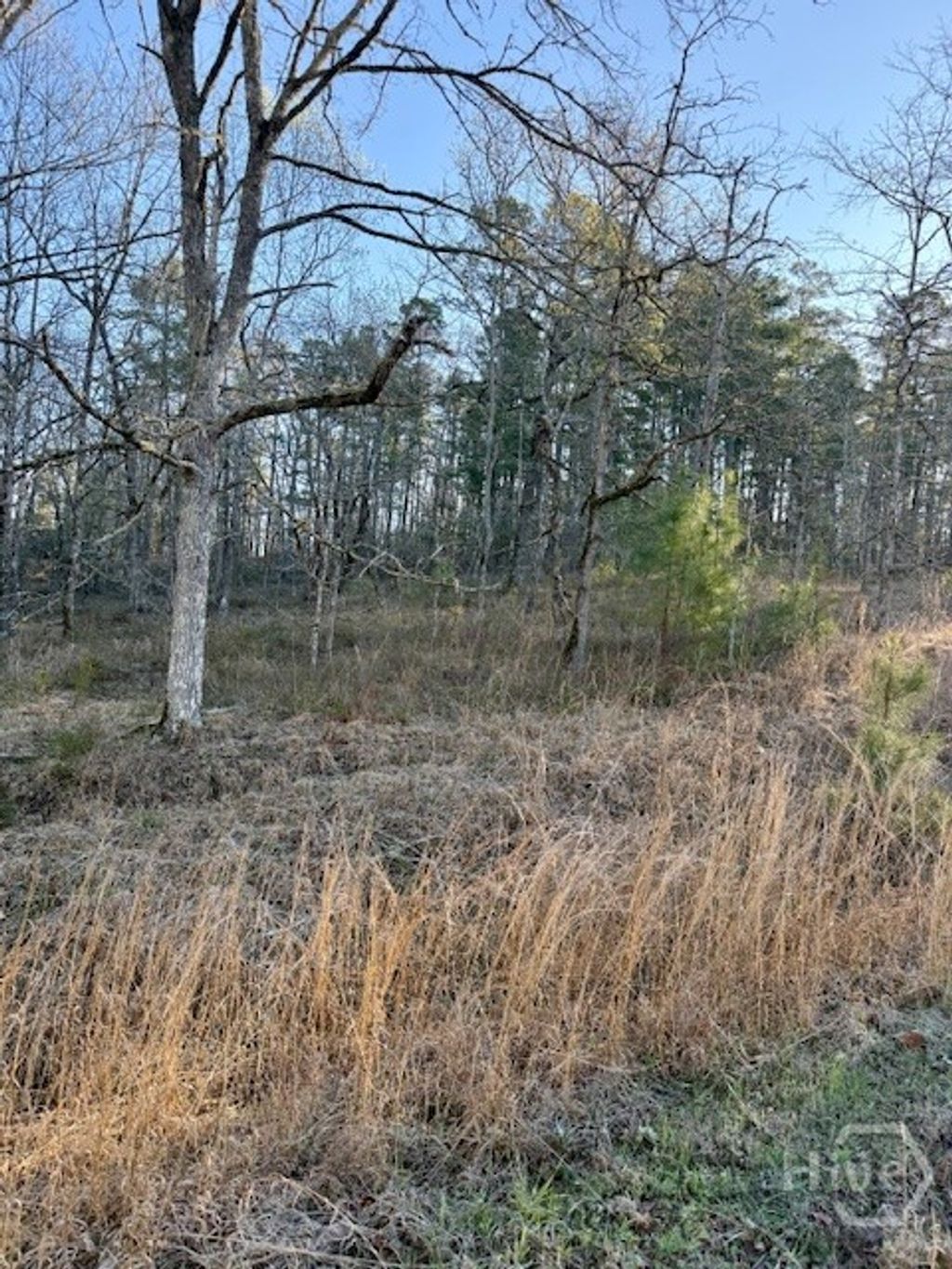 Photo of 0 River Ridge Trail #396, Sparta, GA 31087 (MLS # CL351599)