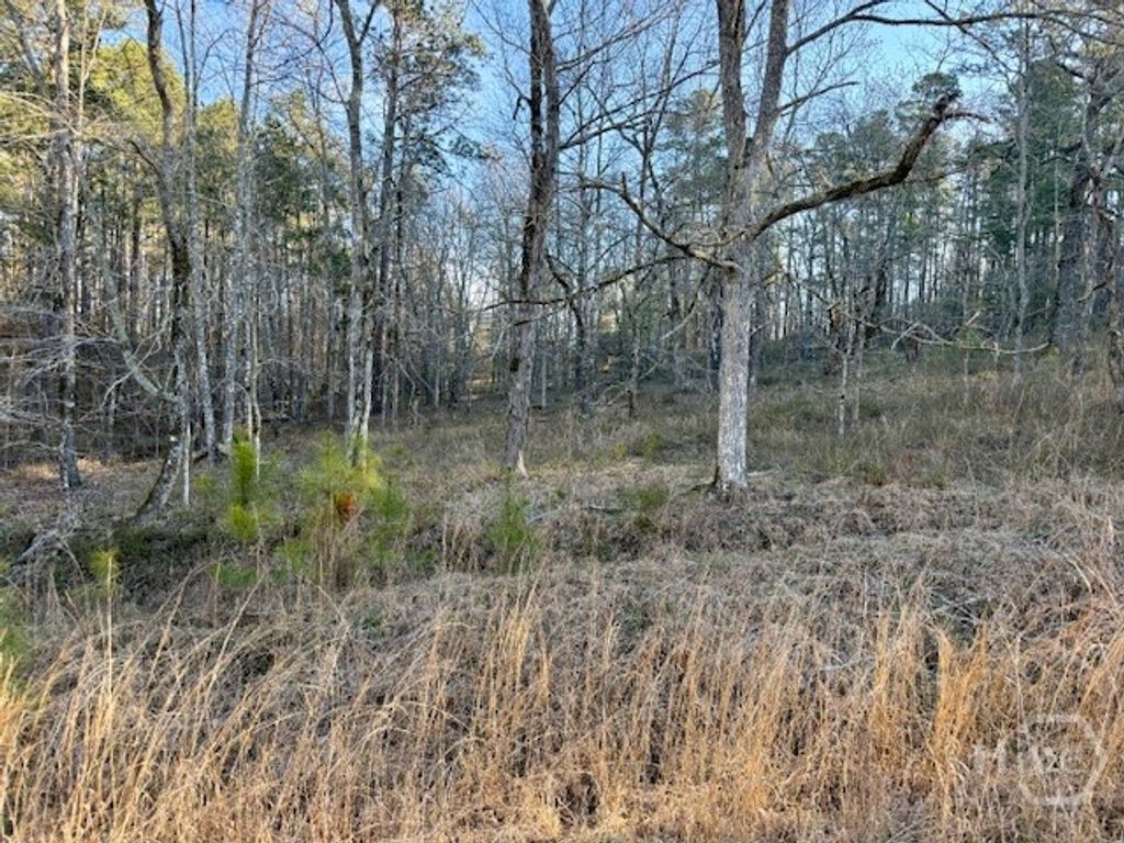 Photo of 0 River Ridge Trail #396, Sparta, GA 31087 (MLS # CL351599)