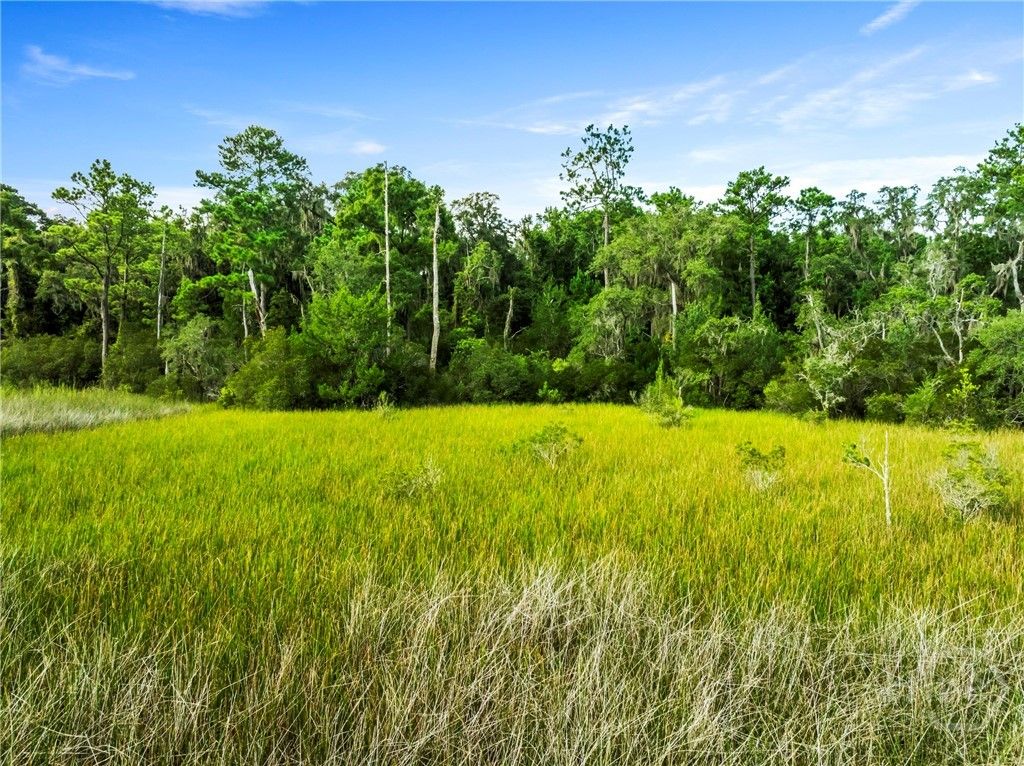 Photo of 3 Big Oak Road, Riceboro, GA 31323 (MLS # SA334669)