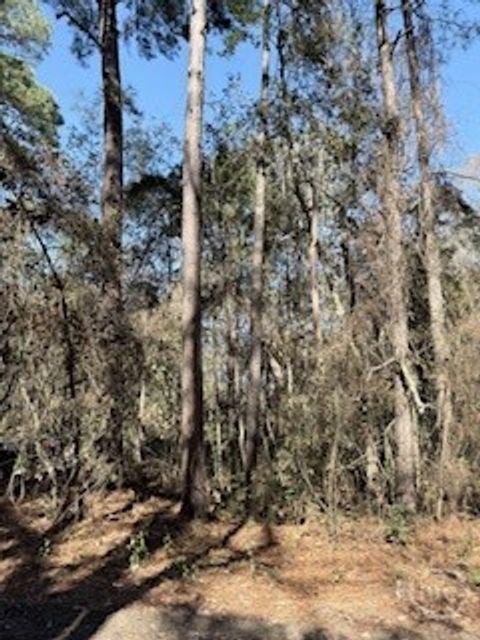 Vacant Land For Sale - 28 Deer Trail Lane<br/> Midway, GA 31320